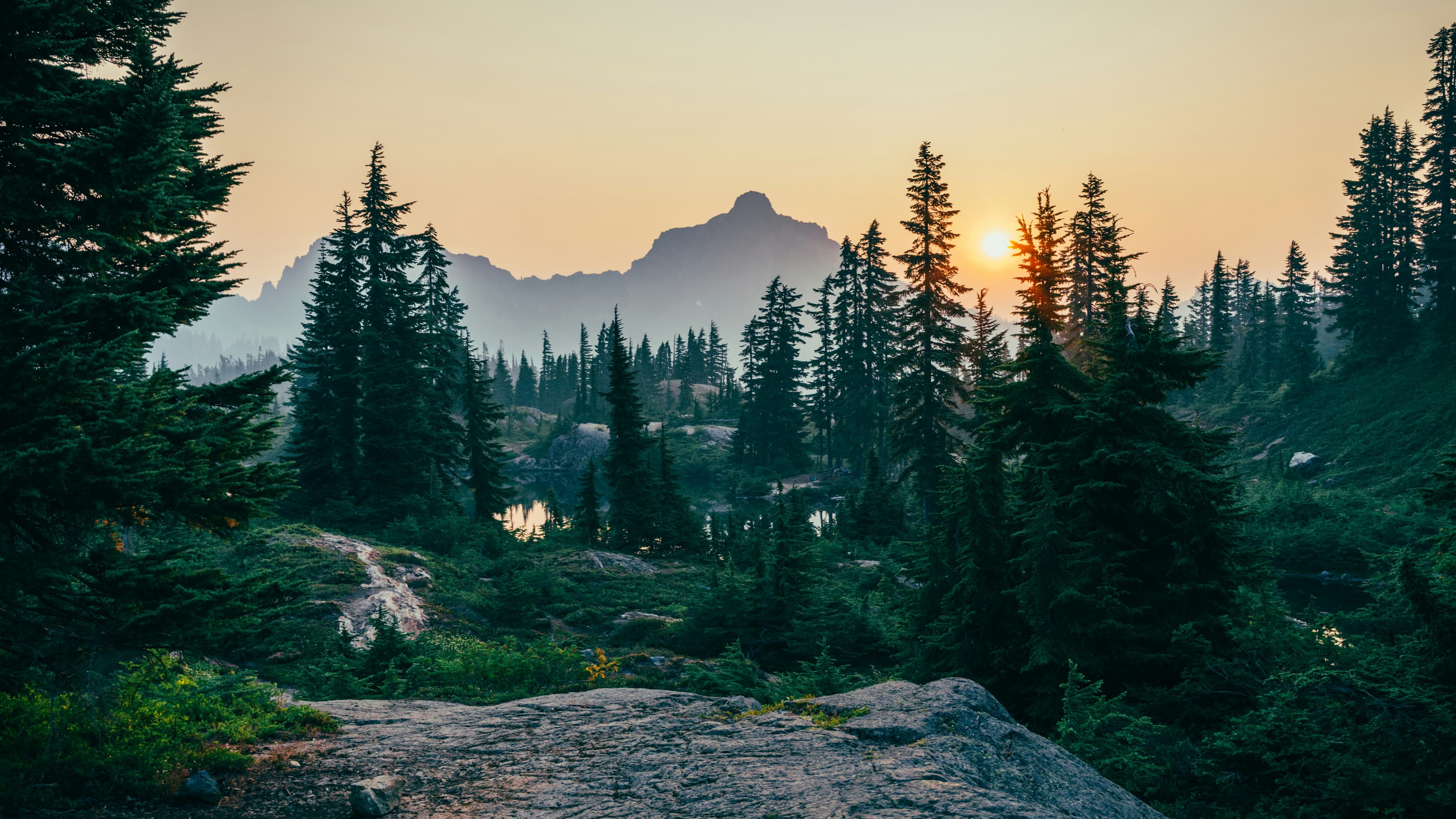 Patagonia